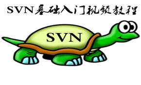 SVN基础入门-TortoiseSVN(小乌龟)视频教程