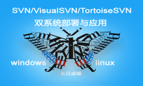 SVN/VisualSVN/TortoiseSVN双系统部署与应用（七日成蝶）