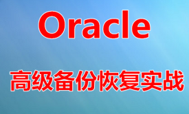 Oracle高级备份恢复精讲视频课程