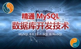 精通MySQL 8.x数据库开发技术视频课程