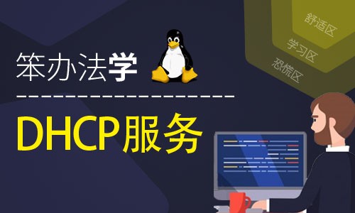 笨办法学Linux DHCP 服务器视频课程