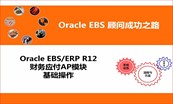 Oracle ERP EBS 顾问财务模块基本业务操作专题