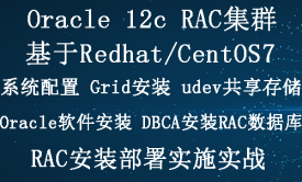Oracle 12c RAC数据库集群搭建实战视频