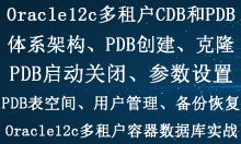 Oracle 12c多租户CDB和PDB容器数据库实战视频教程