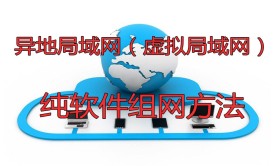 异地局域网（虚拟局域网）纯软件组网方法