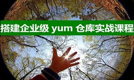 搭建企业级 yum 仓库实战指导