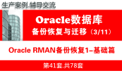 实战Oracle RMAN备份与恢复(基础、案例、项目）