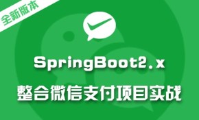 springboot项目实战教程 Spring Boot2.x整合微信支付在线教育网站视频