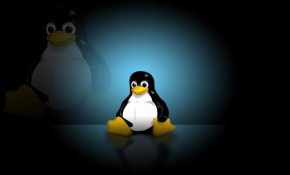 Linux学习基础