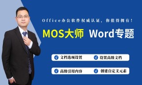 微软大师办公软件国际认证 Mos大师认证  Word 2016考证  Word知识提升