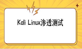 网络安全工程师教你：Kali Linux2020新版本渗透测试基础入门与提升的实战技巧