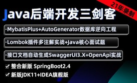 新MybatisPlus+Swagger3.x+SpringBoot2.4视频教程