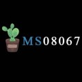 MS08067安全实验室