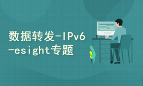 【157】HCIA-RS-题库分类讲解-数据转发-IPv6-esight专题