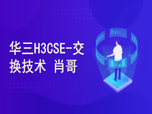 华三 H3CSE-交换技术 自学视频课程[肖哥]