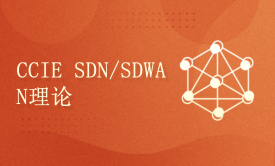 EI CCIE SDN软件定义网络/SDWAN软件定义广域网理论