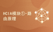 华为HCIA datacom认证课（含题库/考试券）