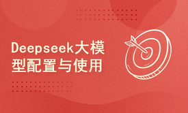 Deepseek大模型配置与使用